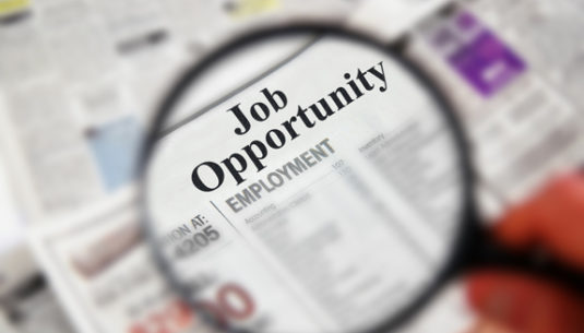 jobopportunity
